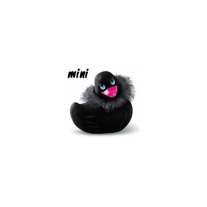 Canard Vibrant Mini Paris