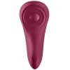 Satisfyer Sexy Secret Panty Rose