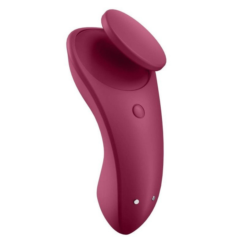 Satisfyer Sexy Secret Panty Rose  