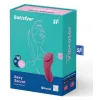 Satisfyer Sexy Secret Panty Rose