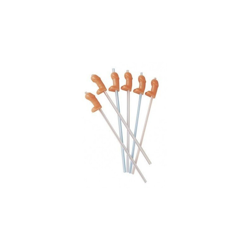 Caixa de 6 canudos de pênis