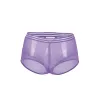 Sexy purple high panties fine mesh