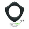 Delay Ring