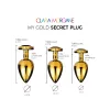 My GOLD Secret Plug SMALL BLACK