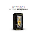 My GOLD Secret Plug MEDIUM BLACK