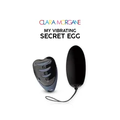 My Vibrating Secret Egg Noir