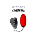 My Vibrating Secret Egg Rouge