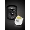 Coconut Massage Candle 80Ml