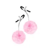 Set 2 Pink Breast Clips