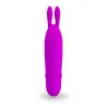 Vibrator Stimulator Pretty Love Boyce